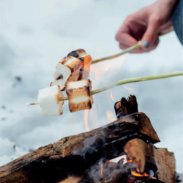 Soirée feu de camp_Le Collet