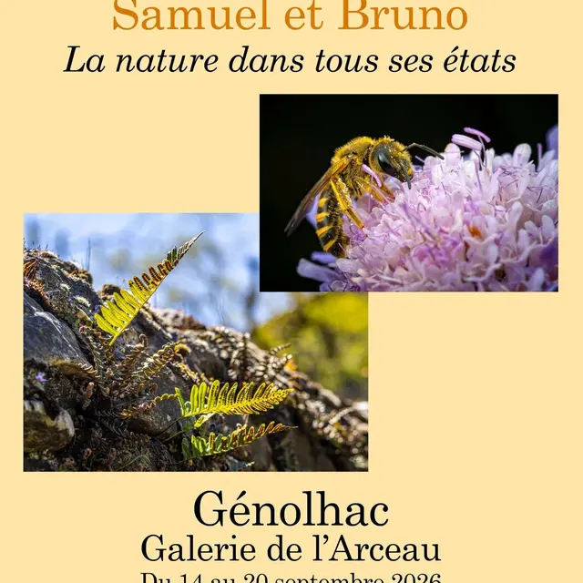 Exposition à la Galerie de l'Arceau_Génolhac