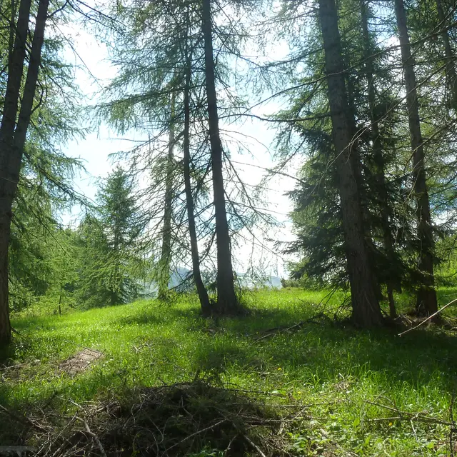 La Balme Obscure_Auron
