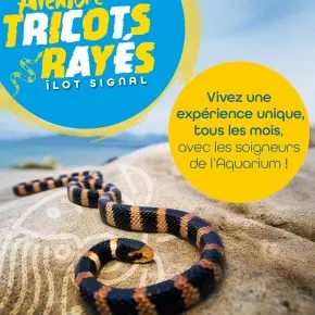 Aventure tricots rayés_Nouméa