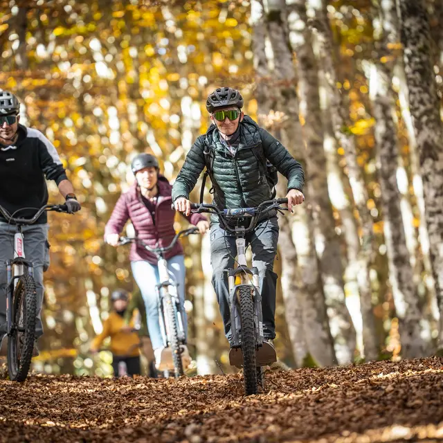 Activités nature avec TrottNature_Graix