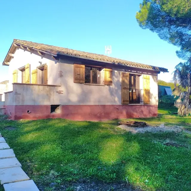 La maison du pin_Piquecos