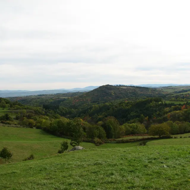 Sucs de Chenereilles