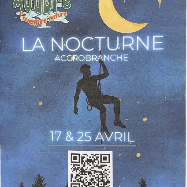 La nocturne accrobranche au parc Aoubré_Flassans-sur-Issole