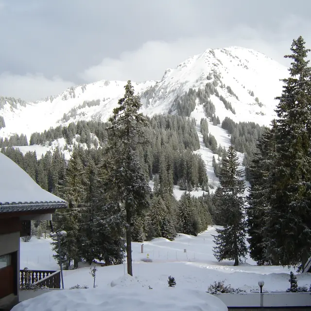 Rovagne III - 20 m² - n°174