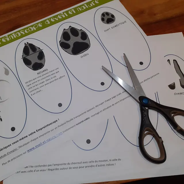 Fête de l'écotourisme_Usson-en-Forez