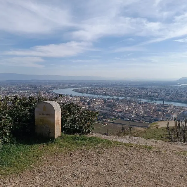 De l'Ermite à l'Hermitage_Tain-l'Hermitage