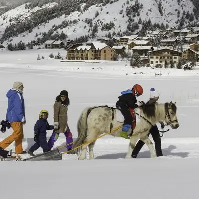 Poney luge