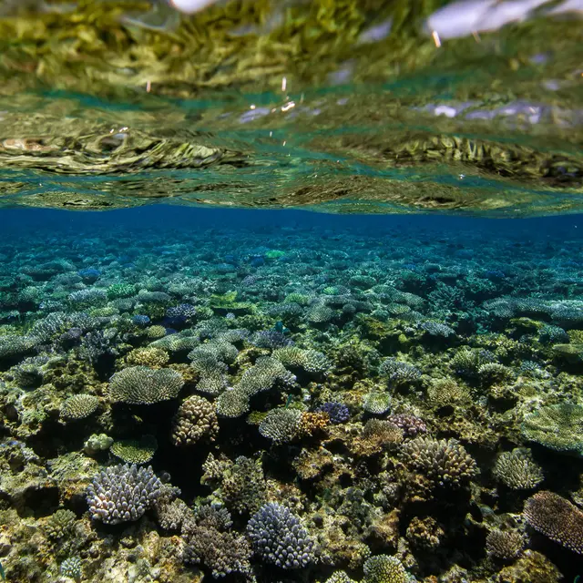 Bourail aquadiving
