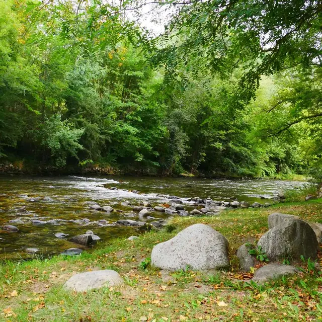 rivière