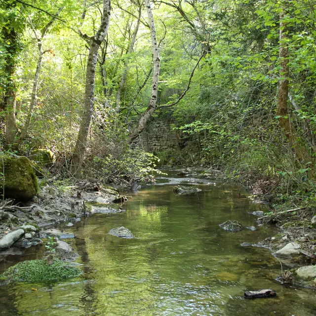 Vallon de l'Aiguebrun