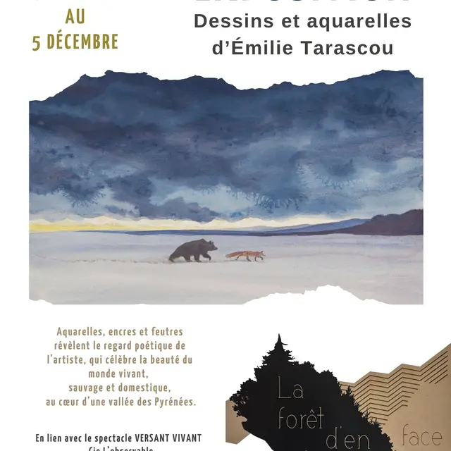 Exposition La Forêt d'en face_Saint-Jean-Saint-Nicolas