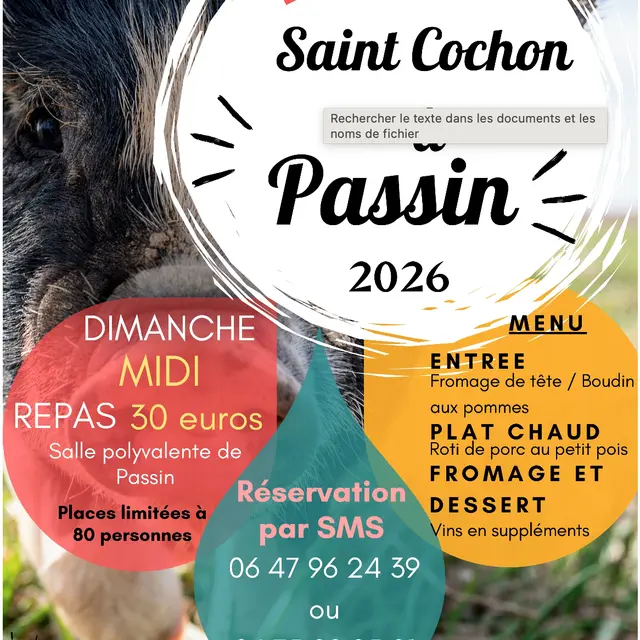 Saint Cochon Passin