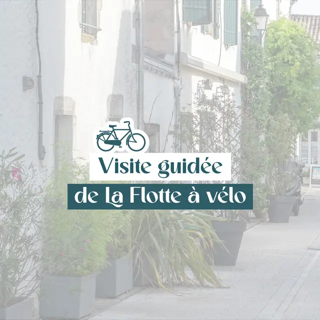 Visite guidée : Sillonner La Flotte à vélo_La Flotte