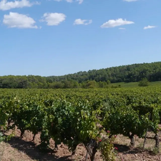 Domaine des Mapliers