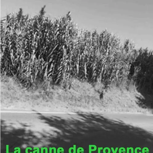 Porte ouverte : Thé causeries d' Art Mandat_Barjols