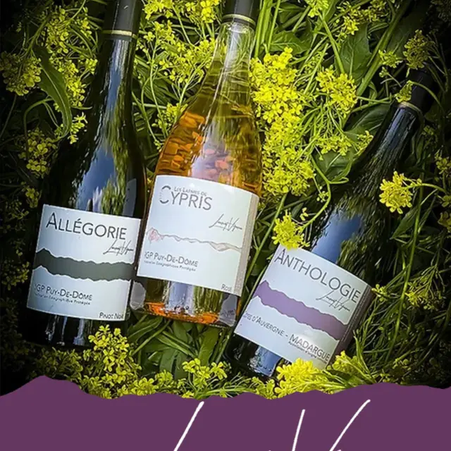 Les cuvées du domaine