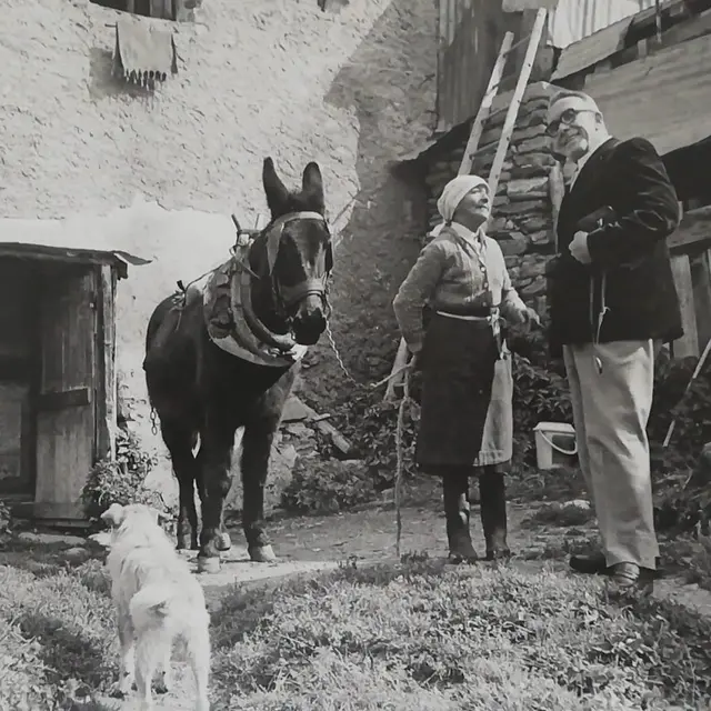 Échos du monde paysan