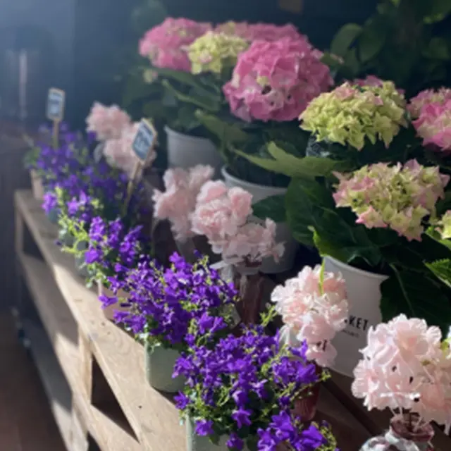 Art et Fleurs