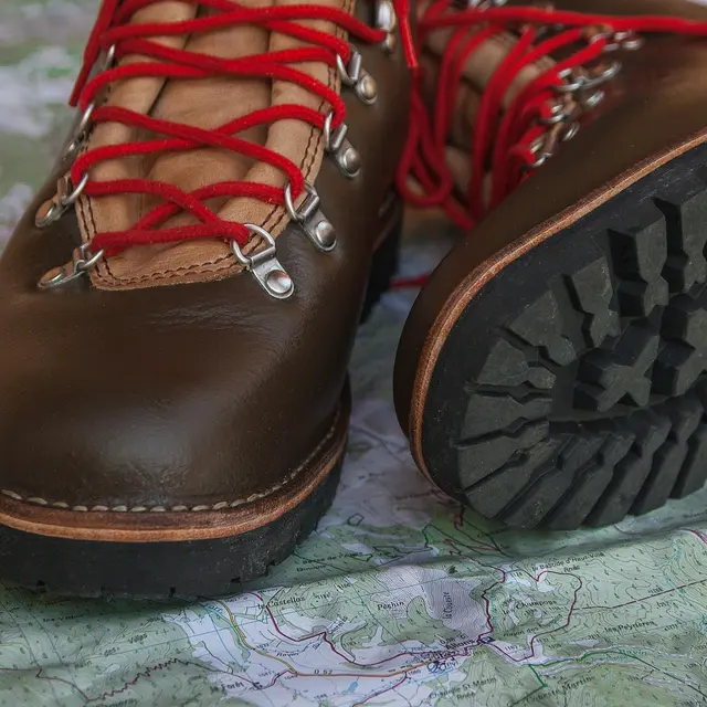 Randonnée pédestre encadrée à l'affut des chamois sur le versant adret du Mont de Grange avec Planet Gliss_La Chapelle-d'Abondance