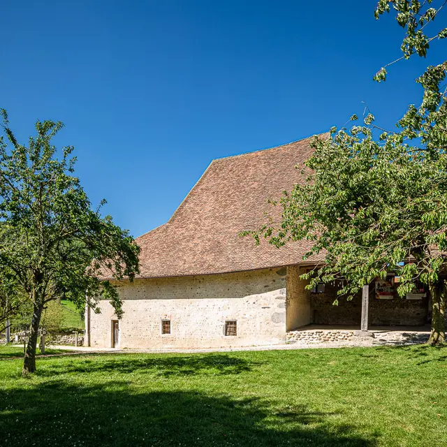 smoraud-capv-dimiere-040720-8676.jpg