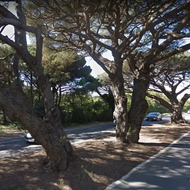 Les trois Pins à Gassin (source Google)