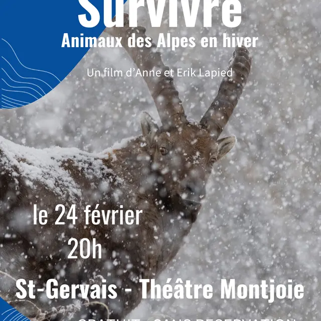 Projection du film : 