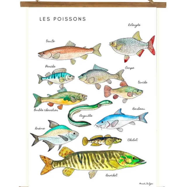 Atelier créatif - Poissons du lac_Nances