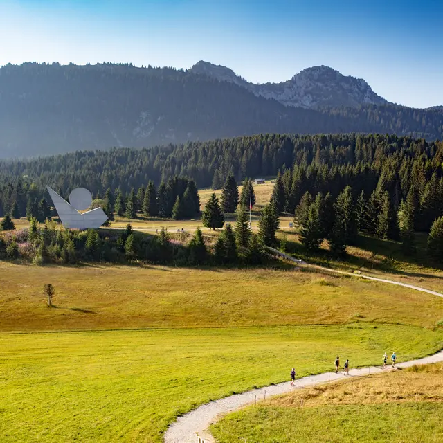 A la découverte du Plateau des Glières_Fillière
