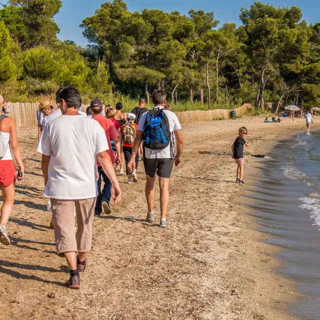 Visite guidée du littoral