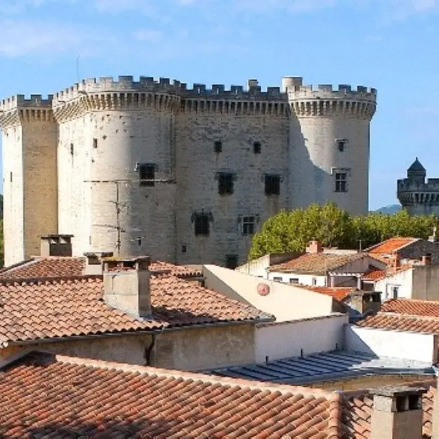 Visite - atelier Mon Blason de Chevalier_Tarascon
