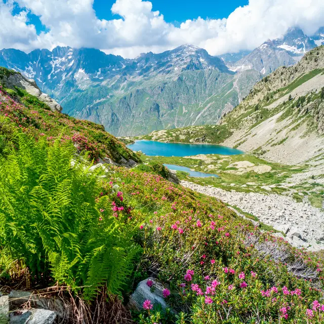 Lacs de Pétarel, vallée du Valgaudemar