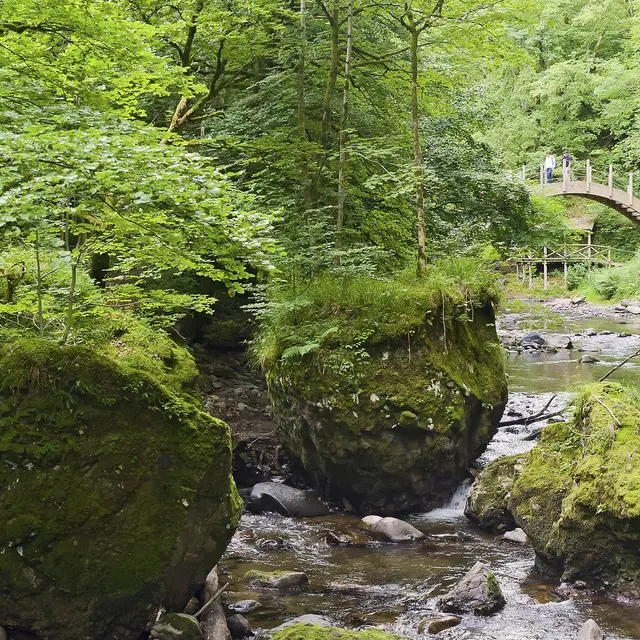Les Gorges de la Jordanne