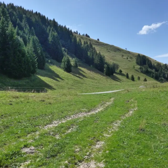 Écotrail Praz de Lys Sommand - 20 km