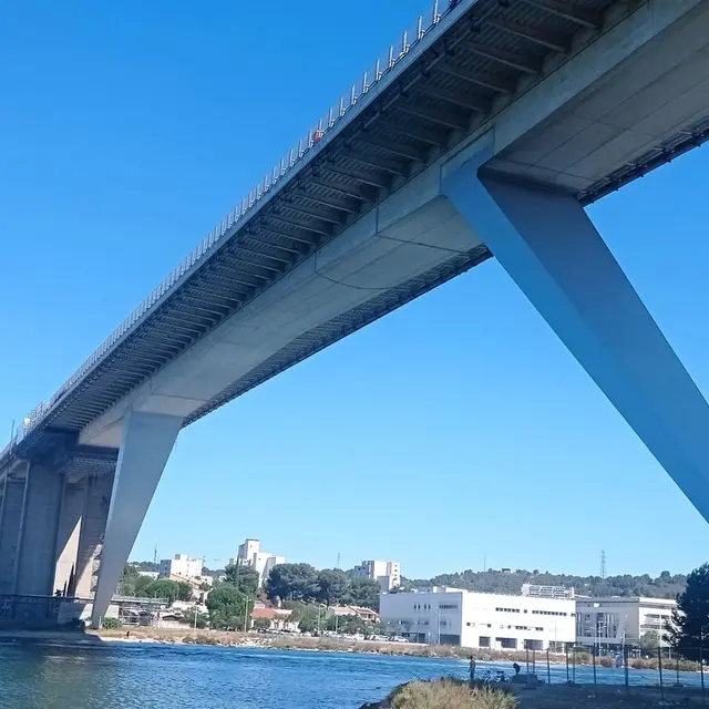 Viaduc autoroutier de Martigues_Martigues