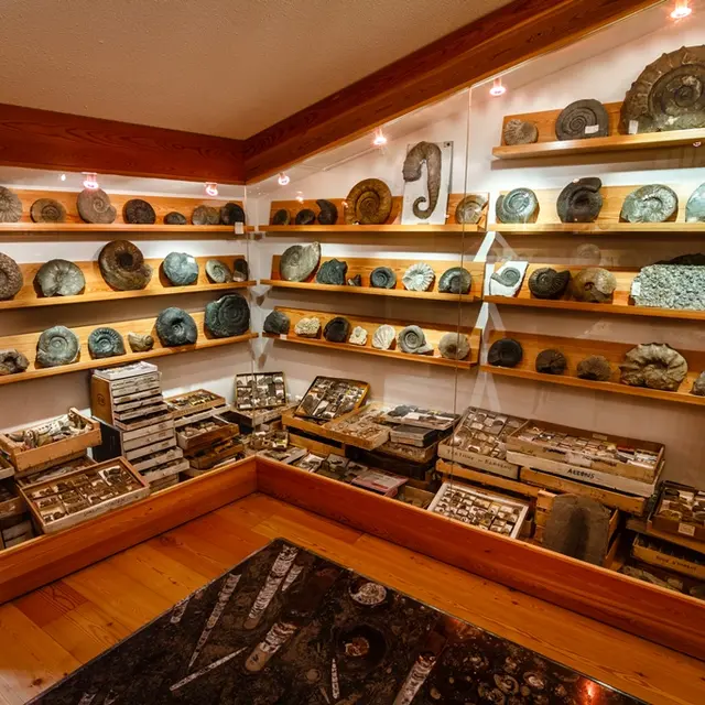 Musée Mairie Barrême