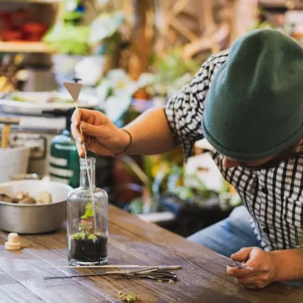 Folie(s) Végétales 2026 - Atelier création d'un terrarium_Thonon-les-Bains