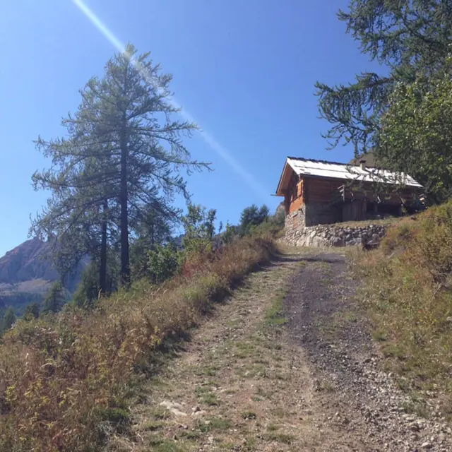 Cabane de Pra Gazé_Saint-Dalmas-le-Selvage