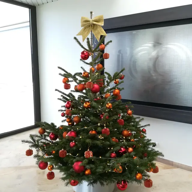 Sapin de Noël