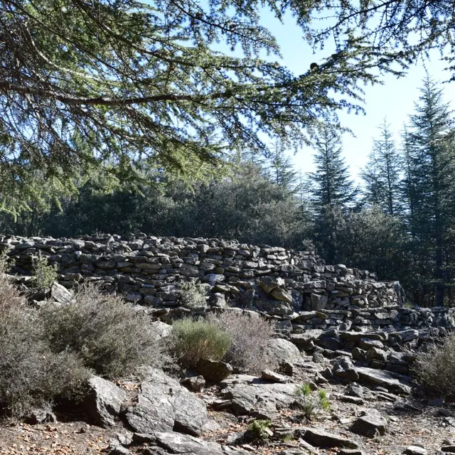 Tumulus Elzière-1
