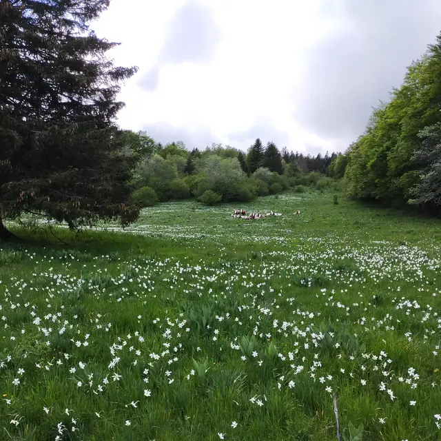 Sortie nature au Plateau de Retord_Valserhône