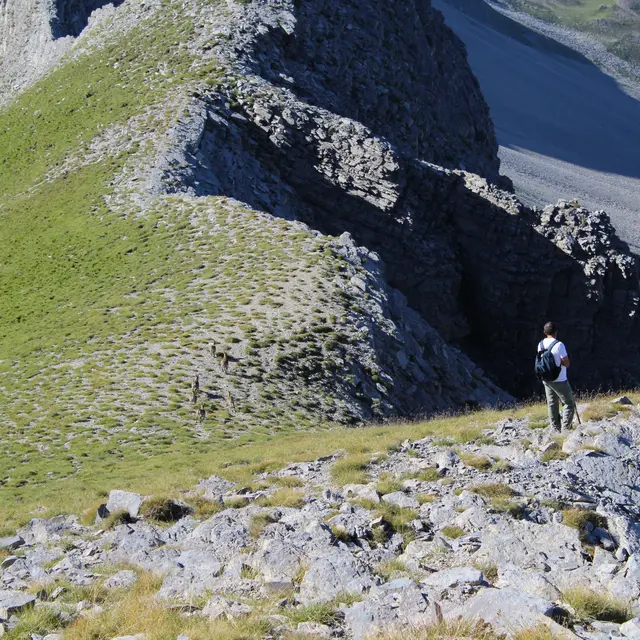 Le Sommet de Grisonnière n°38