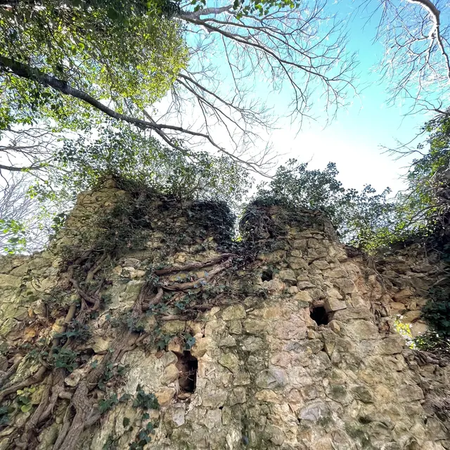 Une chapelle au bord du ravin : comment réparer l’avenir des ruines ?_Esparron-de-Verdon