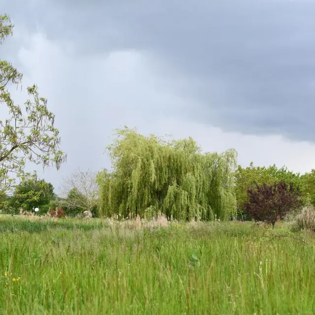 Parc de l'Oiseau Blanc