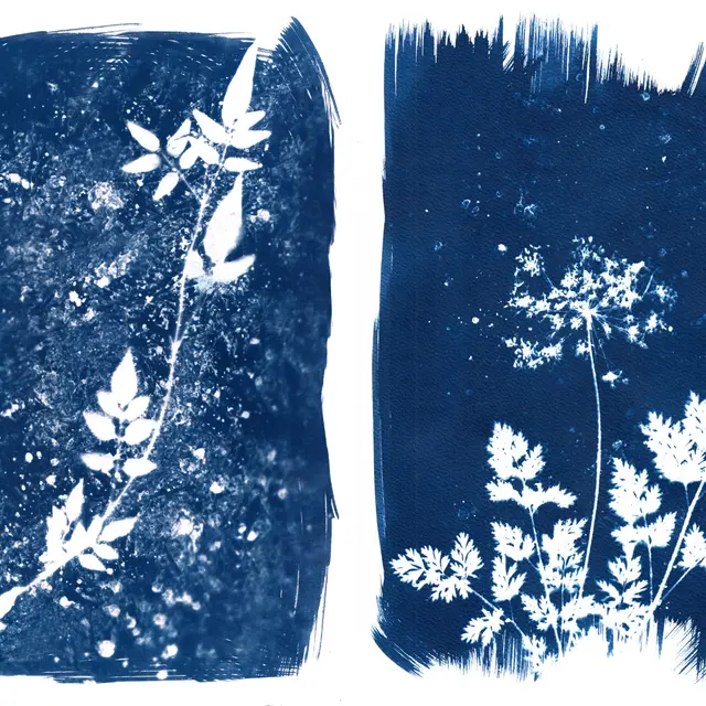 Atelier Cyanotype_Megève