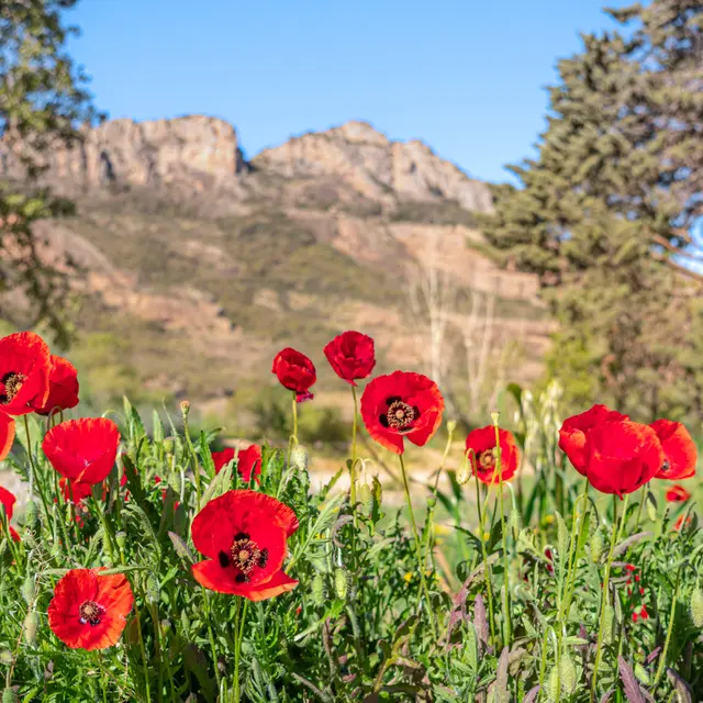 Défi nature au lac de l'Aréna_Roquebrune-sur-Argens