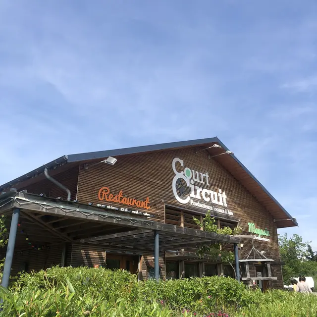 court circuit