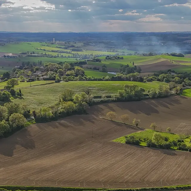 POint de vue du Causé