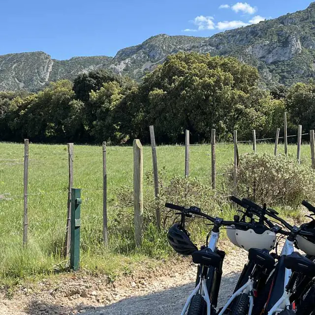 Terroir à vélo_Saint-Rémy-de-Provence