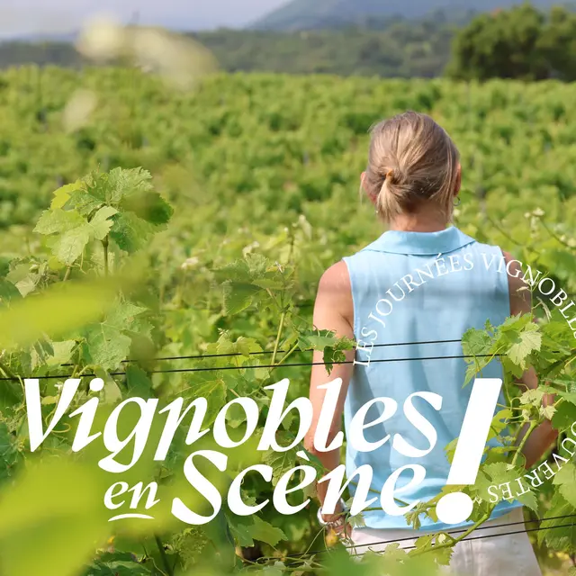 Balade dans les vignes_Sainte-Maxime